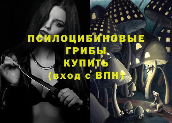 гидра Балахна
