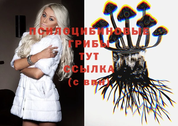 гидра Балахна