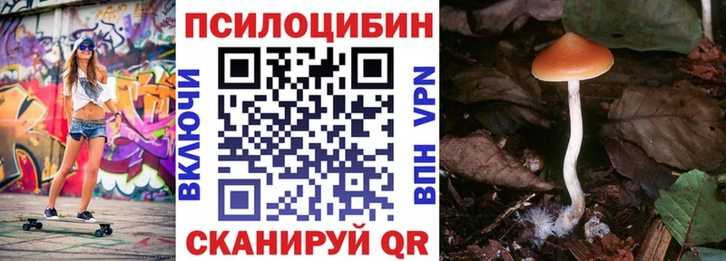 Псилоцибиновые грибы Psilocybe  купить наркотик  кракен как войти  Нерюнгри 